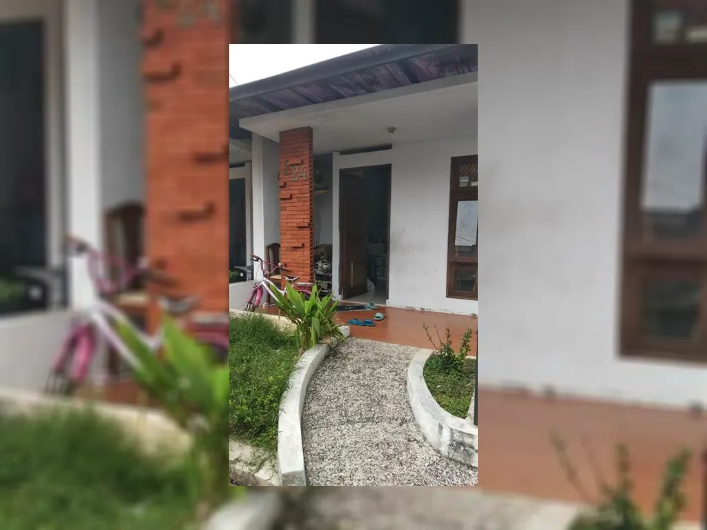 WhatsApp Image 2023-02-03 at 15.42.08.jpeg